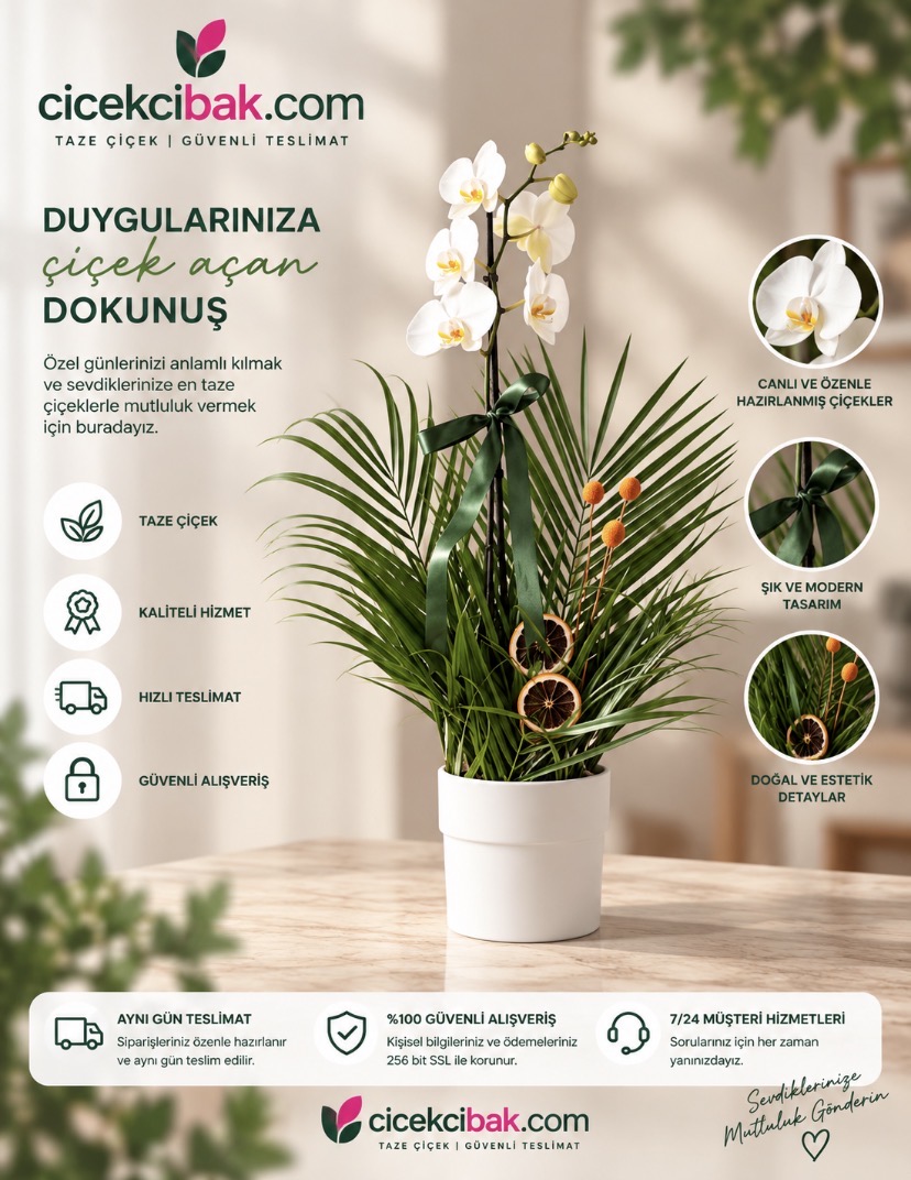 Tek Dal Beyaz Orkide