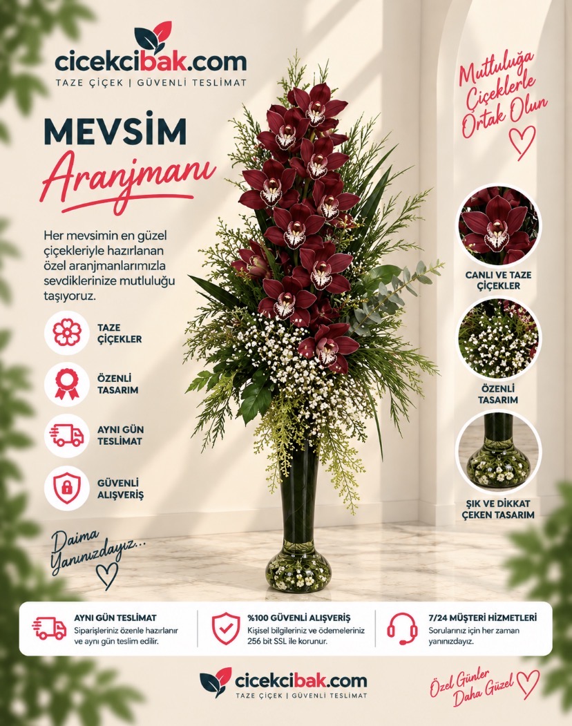 Fil Ayağı Saksıda Mor Spidium Orkide