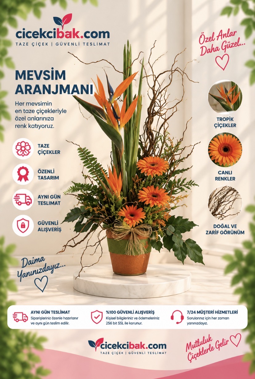 Seramik Saksıda Starliçe Aranjman