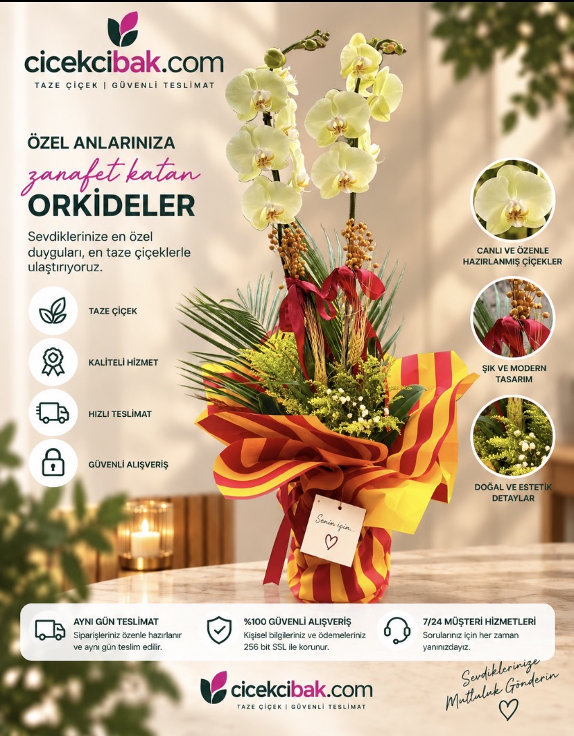 Sarı Renkli Orkide