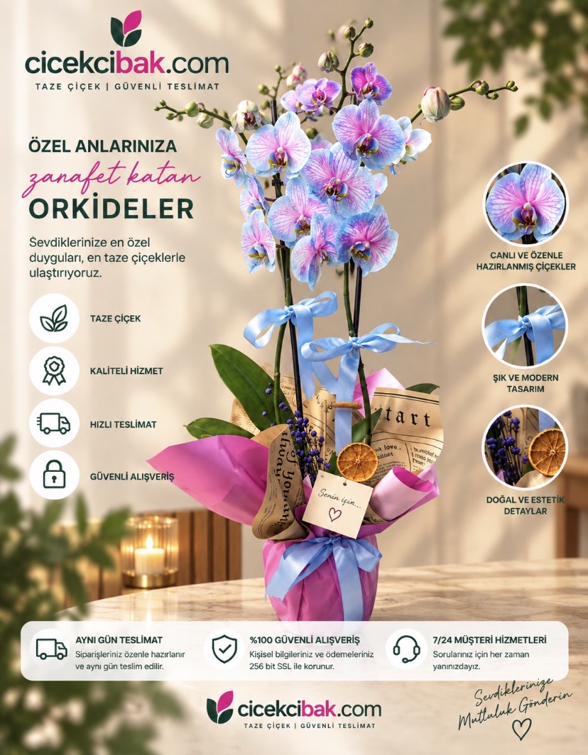 Şık Tasarımda Mavi Orkide